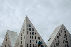 fast-eller-variabel-ladepris-til-forening-erhverv